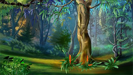forest path panorama - Large Tree in a Forest in a Summer Day. Digital Painting Background, Illustration in cartoon style character. Stock Photo - Budget Royalty-Free & Subscription, Code: 400-09029589