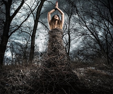 fashion recycle photography - Woman dressed in branches in the woods. connection between nature and human concept Stock Photo - Budget Royalty-Free & Subscription, Code: 400-09029645
