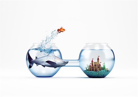 simsearch:400-09112433,k - Goldfish leaping in an aquarium with a castle. Improvement and progress concept. 3D Rendering Stockbilder - Microstock & Abonnement, Bildnummer: 400-09029663