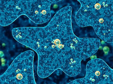 simsearch:400-04337180,k - Amoebas on abstract blue background. 3d render Stock Photo - Budget Royalty-Free & Subscription, Code: 400-09030075