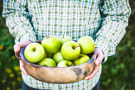 simsearch:400-08552542,k - Organic fruit. Farmers hands with freshly harvested fruit. Fresh organic apples. Stock Photo - Budget Royalty-Free & Subscription, Code: 400-09030108