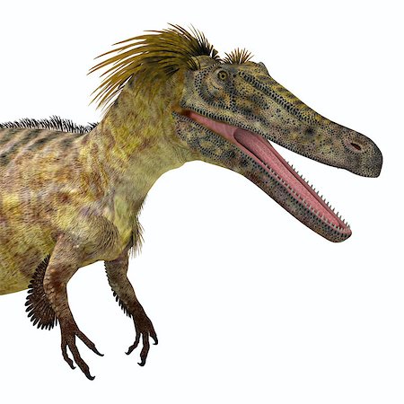 simsearch:400-08694325,k - Austroraptor was a carnivorous theropod dinosaur that lived in Argentina in the Cretaceous Period. Foto de stock - Super Valor sin royalties y Suscripción, Código: 400-09030783