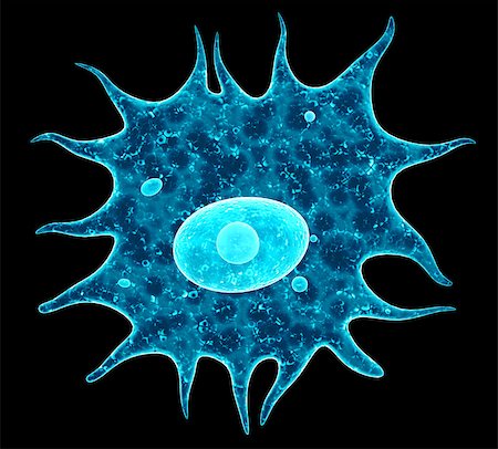 simsearch:400-04337180,k - Amoeba. Isolated on black background. 3d render Stock Photo - Budget Royalty-Free & Subscription, Code: 400-09031507