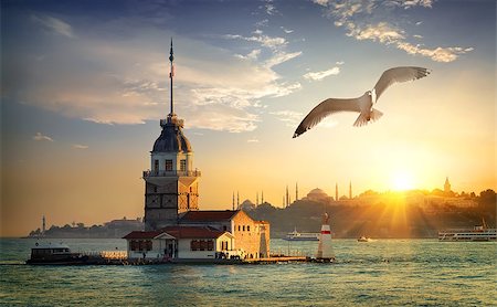 Seagull fliying near Maiden's Tower in Istanbul at sunset, Turkey Stock Photo - Budget Royalty-Free & Subscription, Code: 400-09031604