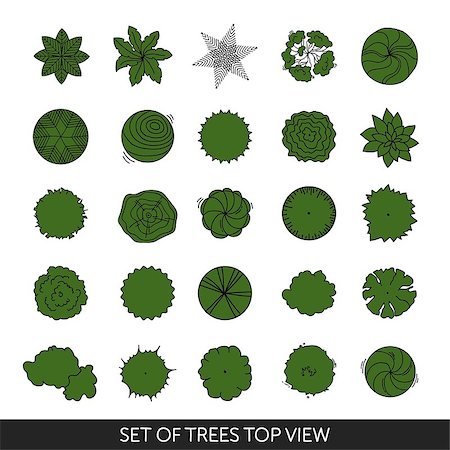 Set of trees top view for landscape design. Vector graphic. Stock Photo - Budget Royalty-Free & Subscription, Code: 400-09031611