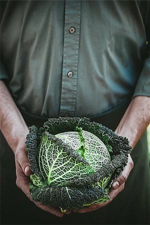 simsearch:400-08552542,k - Organic vegetables. Farmers hands with freshly harvested vegetables. Fresh organic kale. Stock Photo - Budget Royalty-Free & Subscription, Code: 400-09031638