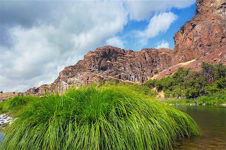 Grass along John Day River in Central Oregon on a cloudy summer day Stock Photo - Budget Royalty-Free & Subscription, Code: 400-09031690