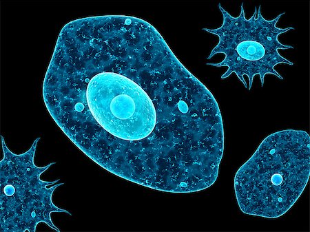 simsearch:400-04337180,k - Amoebas on black background. 3d render Stock Photo - Budget Royalty-Free & Subscription, Code: 400-09031985