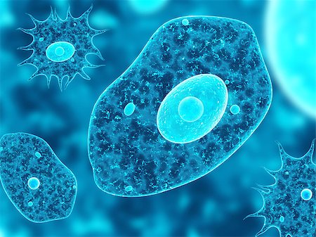 simsearch:400-04337180,k - Amoebas on abstract blue background. 3d render Stock Photo - Budget Royalty-Free & Subscription, Code: 400-09031986