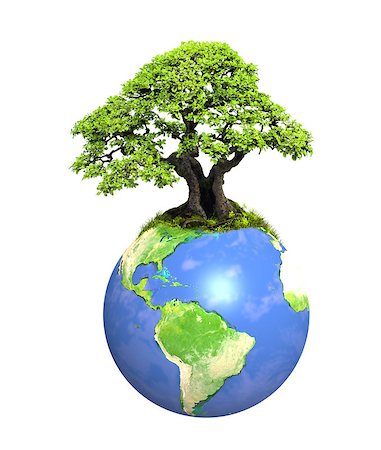 simsearch:400-06355853,k - Eco concept. Tree on Earth. Isolated on white background. 3d render. Element of this image furnished by NASA Stock Photo - Budget Royalty-Free & Subscription, Code: 400-09031993
