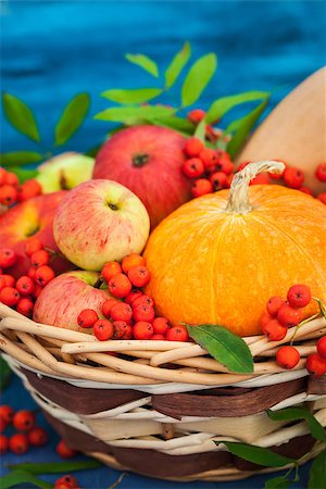 simsearch:400-05265311,k - Autumnal still life with pumpkins, apples and rowanberry in a basket on blue wooden background Foto de stock - Super Valor sin royalties y Suscripción, Código: 400-09032017