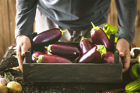 simsearch:400-08552542,k - Organic vegetables. Farmers hands with freshly harvested vegetables. Fresh organic egg plant. Stock Photo - Budget Royalty-Free & Subscription, Code: 400-09032420