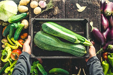 simsearch:400-08552542,k - Organic vegetables. Farmers hands with freshly harvested vegetables. Fresh organic zucchini. Stock Photo - Budget Royalty-Free & Subscription, Code: 400-09032421