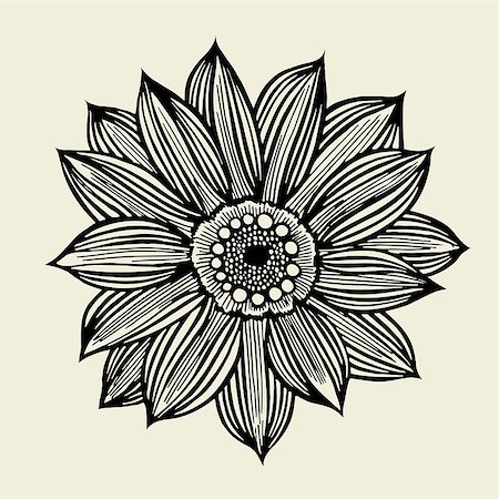 frescomovie (artist) - Sketch of flower hand drawn isolated on a beige background. Stock Photo - Budget Royalty-Free & Subscription, Code: 400-09045597