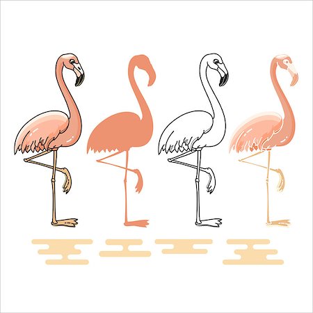 simsearch:400-04519315,k - Vector illustration of Flamingo silhouettes set isolated on white background. Fotografie stock - Microstock e Abbonamento, Codice: 400-09046493