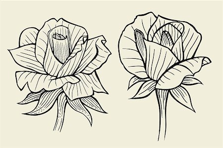 simsearch:400-08572511,k - Hand drawn flower set, rose collection. Vector illustration Photographie de stock - Aubaine LD & Abonnement, Code: 400-09046821