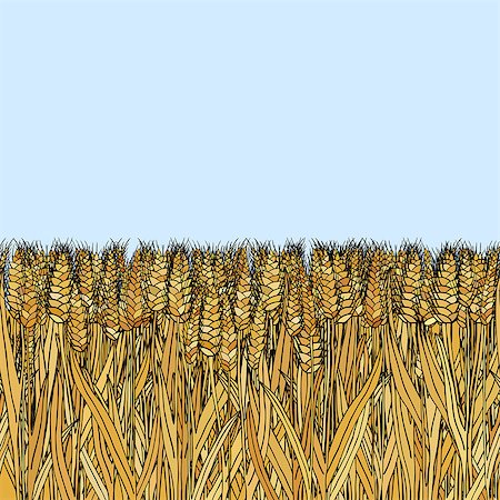 simsearch:400-04736849,k - abstract vector cartoon doodle wheat seamless pattern Stockbilder - Microstock & Abonnement, Bildnummer: 400-09047282