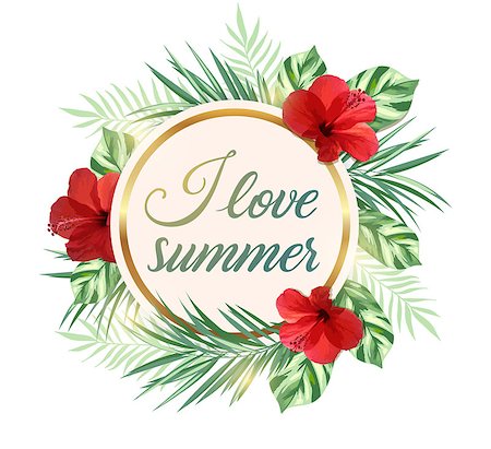 simsearch:400-09048464,k - Summer tropical background with green palm leaves and red flowers. I love summer lettering. Stockbilder - Microstock & Abonnement, Bildnummer: 400-09047362