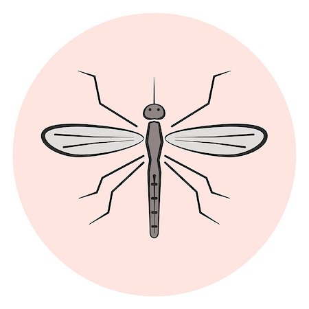 Outline mosquito vector icon, colored gray gnat icon Stock Photo - Budget Royalty-Free & Subscription, Code: 400-09047497