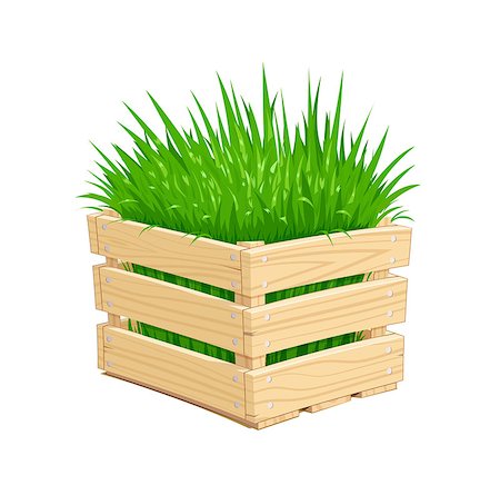 Wooden box with green grass. Gardening Equipment. Isolated white background. Vector illustration. Stock Photo - Budget Royalty-Free & Subscription, Code: 400-09048132