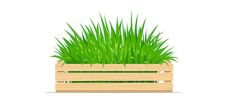 Wooden box with green grass. Gardening Equipment. Isolated white background. Vector illustration. Stock Photo - Budget Royalty-Free & Subscription, Code: 400-09048145