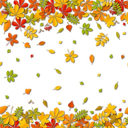 simsearch:400-07675553,k - Seamless border Autumn falling leaf background isolated on white. Art vector illustration. Stock Photo - Budget Royalty-Free & Subscription, Code: 400-09048216