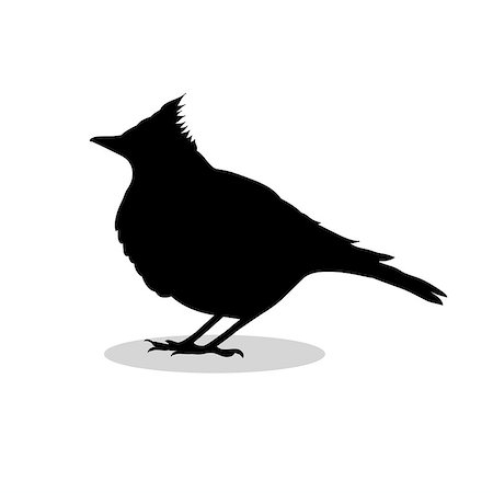 Skylark lark bird black silhouette animal. Vector Illustrator. Stock Photo - Budget Royalty-Free & Subscription, Code: 400-09048677