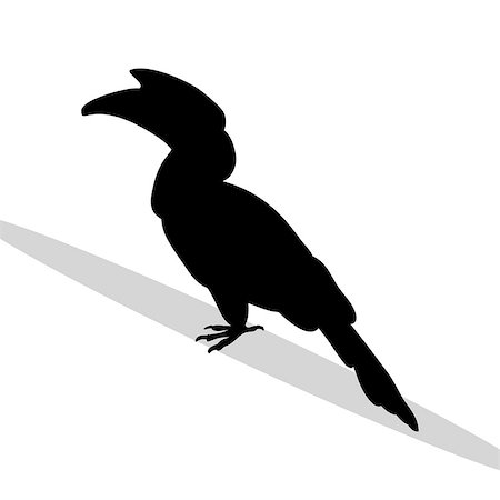 Hornbill bird black silhouette animal. Vector Illustrator. Stock Photo - Budget Royalty-Free & Subscription, Code: 400-09048670