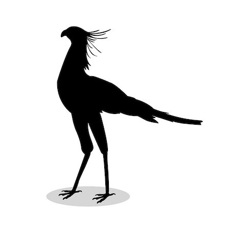 simsearch:862-05998401,k - Secretary bird black silhouette animal. Vector Illustrator. Stock Photo - Budget Royalty-Free & Subscription, Code: 400-09048672