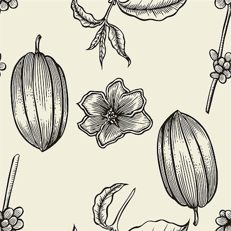 frescomovie (artist) - Hand drawn seamless pattern on white background. Cocoa and coffee botany vector illustration. Doodle of healthy nutrient food, engraving sketch etch line. Food dessert drink ingredient Stock Photo - Budget Royalty-Free & Subscription, Code: 400-09048958