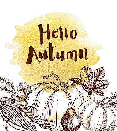simsearch:400-08776231,k - Hand drawn autumn vintage background with leaves, corn and pumpkins Stockbilder - Microstock & Abonnement, Bildnummer: 400-09050901