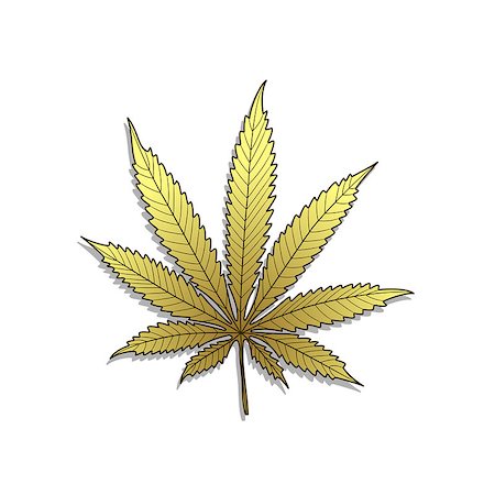 Illustration of golden cannabis on a white background. Stock Photo - Budget Royalty-Free & Subscription, Code: 400-09051590
