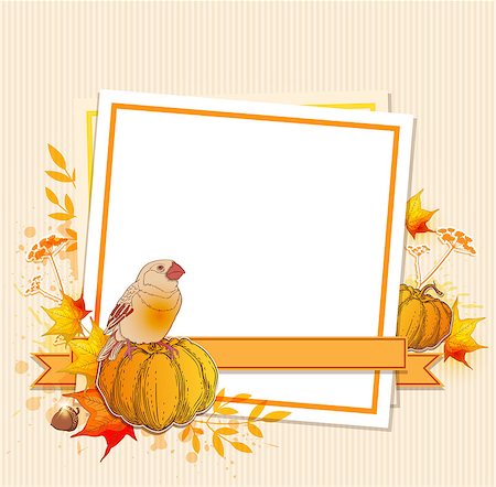 simsearch:400-08776231,k - Autumn background with pumpkins, bird and blank sheet of paper Stockbilder - Microstock & Abonnement, Bildnummer: 400-09051686