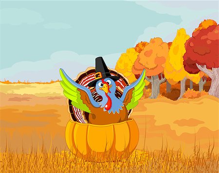 Illustration of cute Pilgrim turkey into pumpkin Stock Photo - Budget Royalty-Free & Subscription, Code: 400-09052011