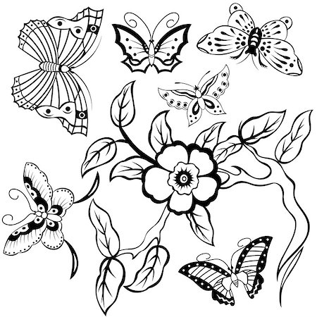 simsearch:400-06107863,k - Vector of ornamental set with butterflies and floral branch Fotografie stock - Microstock e Abbonamento, Codice: 400-09052171