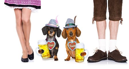 simsearch:400-08163219,k - bavarian dachshund or sausage  dogs couple with  gingerbread with owner and beer mugs isolated on white background , ready for the beer celebration festival in munich, Photographie de stock - Aubaine LD & Abonnement, Code: 400-09064035