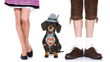 simsearch:400-08163219,k - bavarian dachshund or sausage  dog with  gingerbread with owner  isolated on white background , ready for the beer celebration festival in munich, Photographie de stock - Aubaine LD & Abonnement, Code: 400-09064031