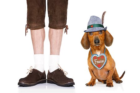 simsearch:400-08163219,k - bavarian dachshund or sausage  dog with  gingerbread with owner  isolated on white background , ready for the beer celebration festival in munich Photographie de stock - Aubaine LD & Abonnement, Code: 400-09064033
