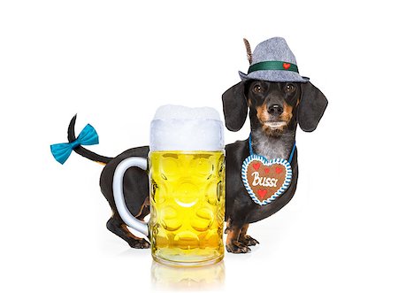 simsearch:400-08163219,k - bavarian dachshund or sausage  dog with  gingerbread and  mug  isolated on white background , toasting for the beer celebration festival in munich Photographie de stock - Aubaine LD & Abonnement, Code: 400-09064044