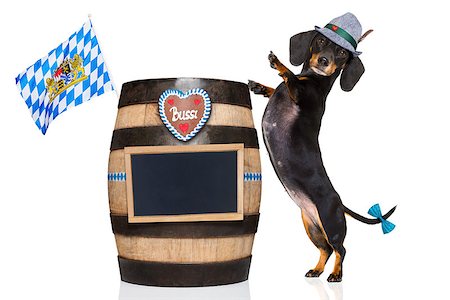 simsearch:400-08163219,k - bavarian dachshund or sausage  dog with  gingerbread and  barrel   isolated on white background , ready for the beer celebration festival in munich, Photographie de stock - Aubaine LD & Abonnement, Code: 400-09064069