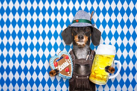 simsearch:400-08163219,k - bavarian dachshund or sausage  dog with  gingerbread and  mug  isolated on white background , ready for the beer celebration festival in munich, Photographie de stock - Aubaine LD & Abonnement, Code: 400-09064147