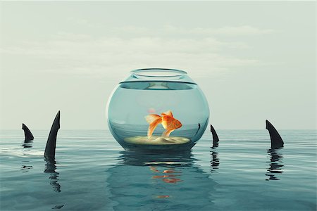 simsearch:400-08998942,k - Goldfish in an aquarium surrounded by sharks. This is a 3d render illustration Fotografie stock - Microstock e Abbonamento, Codice: 400-09064166