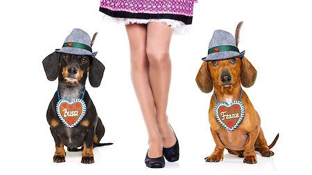 simsearch:400-08163219,k - bavarian dachshund or sausage  dogs couple with  gingerbread with owner  isolated on white background , ready for the beer celebration festival in munich, Photographie de stock - Aubaine LD & Abonnement, Code: 400-09064266