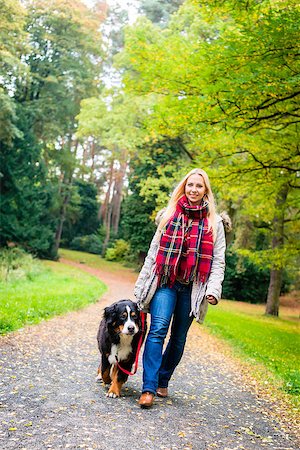 simsearch:400-09136205,k - Woman walking the dog on leash in park on path covered with colorful fall foliage Stockbilder - Microstock & Abonnement, Bildnummer: 400-09064286