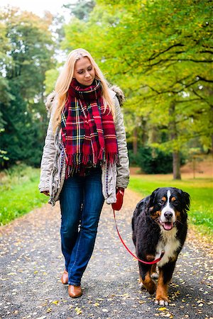 Woman walking the dog on leash in park on path covered with colorful fall foliage Photographie de stock - Aubaine LD & Abonnement, Code: 400-09064287