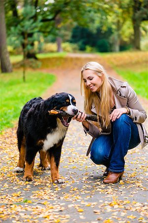 simsearch:400-09136205,k - Woman and dog at retrieving stick game in fall park on dirt path Stockbilder - Microstock & Abonnement, Bildnummer: 400-09064288