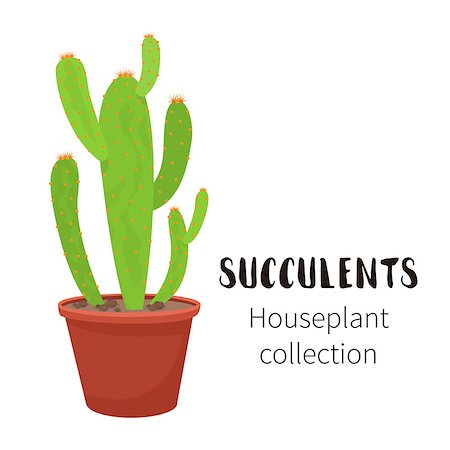 Cactus icons in cartoon flat style isolated on white background. Home plants cactus in pots and with flowers. A variety of decorative cactus with prickles and without. Foto de stock - Royalty-Free Super Valor e Assinatura, Número: 400-09064297