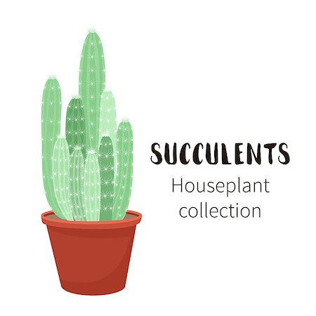 Cactus icons in cartoon flat style isolated on white background. Home plants cactus in pots and with flowers. A variety of decorative cactus with prickles and without. Foto de stock - Royalty-Free Super Valor e Assinatura, Número: 400-09064298