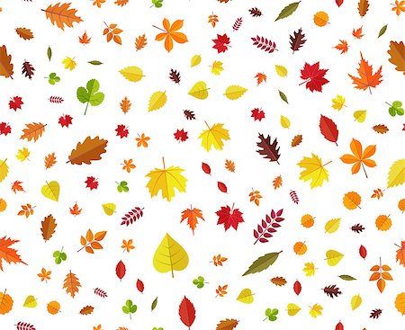 Autumn leaves seamless background. Multicolored fall leaves different angles pattern on white background. Cartoon style vector illustration Foto de stock - Royalty-Free Super Valor e Assinatura, Número: 400-09064300