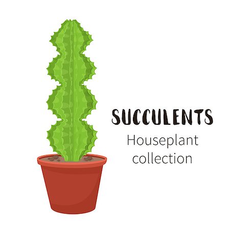 Cactus icons in cartoon flat style isolated on white background. Home plants cactus in pots and with flowers. A variety of decorative cactus with prickles and without. Foto de stock - Royalty-Free Super Valor e Assinatura, Número: 400-09064325